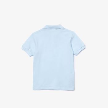 Lacoste Petit Piqué Polo Dětské - Polo Světle Blankyt | CZ-PIw2CL